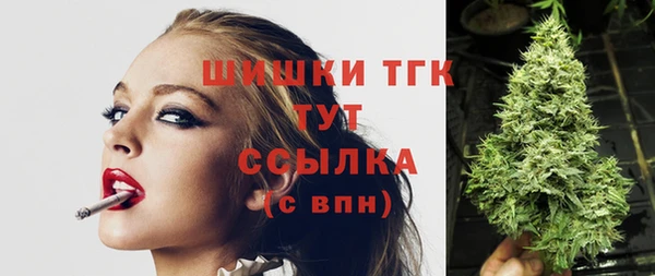 шишки Аркадак