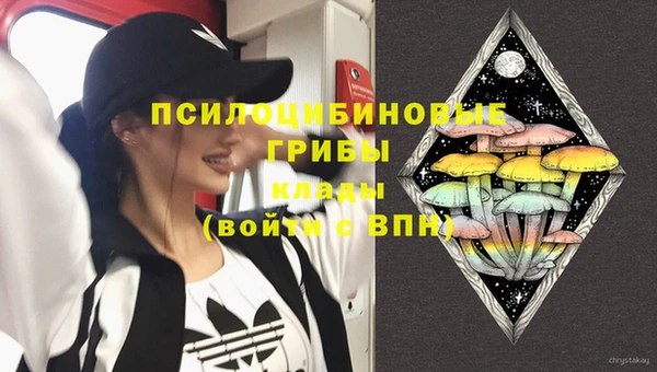 ПСИЛОЦИБИНОВЫЕ ГРИБЫ Балахна