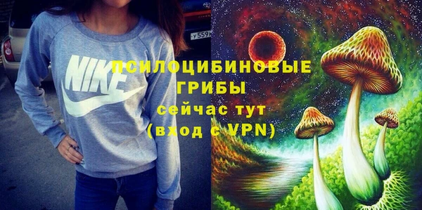 шишки Аркадак