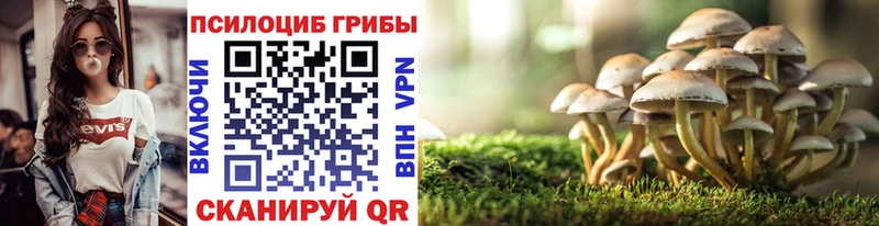 дарнет шоп  Туран  Псилоцибиновые грибы Cubensis 